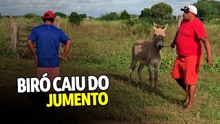 BIRÓ CAIU DO JUMENTO