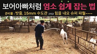 [염소 사육 꿀팁] 빨라도 너무 빠른 염소, 보어아빠는 왜 이렇게 쉽게 잡나요? 🤔 15mm 수도관과 밧줄만 있다면 여러분도 염소 잡기 달인 쌉가능!✌🏻