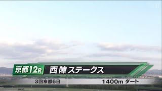 西陣ステークス［2023.11.19 京都第12R/1400m ダート］