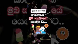 කෙට්ටු කෙල්ලො😮 එහෙමද එතකොට ? #shortvideo #shorts #education