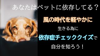 あなたはペットに依存してる？風の時代を軽やかに生きる為に依存症チェッククイズで自分を知ろう！