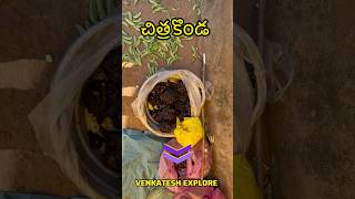 | చిత్రకోండ | MAREDUMILLI ATTRACTION | TRIBAL MARKET | VILLAGE MARKET | TRIBAL LIFE | చెంచుకోడి |