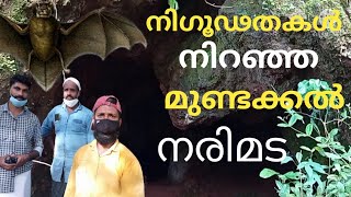 Narimada/Mundakkal/ ചുണ്ടത്തി ചോലയിലെ ഒരു നരിമട വ്ളോഗ്