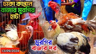 আমেরিকান লাইট ব্রাহমা, ফ্রিজেল এবং সিল্কি সহ সব ধরনের মুরগির দাম জানুন! কাপ্তান বাজার হাট ২০২৪