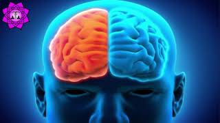 Neuroplasticity Meditation | Theta Binaural Beats | Rebuild Your Brain | Brain Healing Sounds