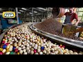 How Coffee Capsules Are Made: MASSIVE Coffee Factory And Processing Technology