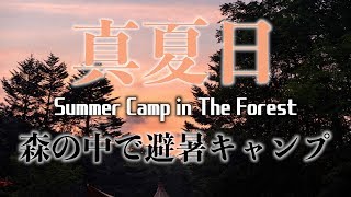 【北海道格安キャンプ場】白老町ポロトの森キャンプ場は真夏日でも森の中で避暑キャンプができたよ前編