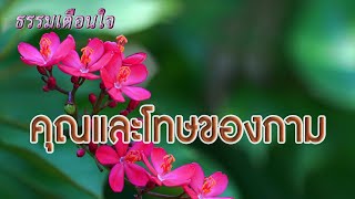 คุณและโทษของกาม