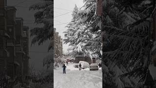 Դիլիջան՝ ձմեռային հրաշք - Dilijan: Winter Wonderland ❄️ Փետրվարի 19 ²⁰²⁵ 🌨️