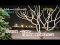 夜港邊~附ktv歌詞~林英美演唱~原版老歌欣賞2022重作