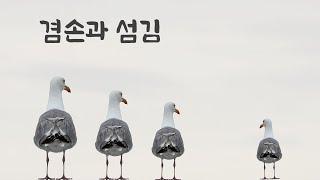 (영성3) 겸손과 섬김 / 예수님 말씀대로 사는 묵상 / 마음을 평화롭게 하는 묵상