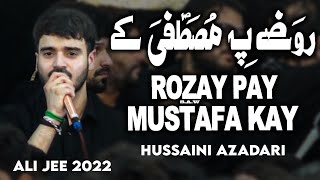 roze pe mustafa ke udasi | Ali jee | ali shanawar | nadeem sarwar live karachi 2022