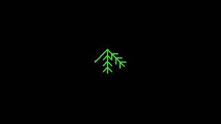 Drawing a snowflake in Python using Turtle! ❄