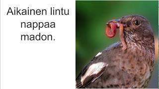 Kymmenen suomalaista sananlaskua  - 10 Finnish proverbs