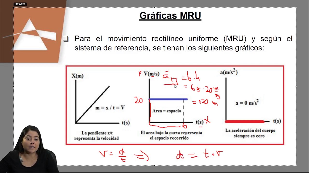 Tipos De Movimientos