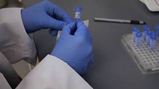 CryoLabel® Laboratory Cryogenic Labels