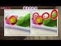 🍎間違い探し🍎難易度高め！脳に良い刺激を与えよう😄3ヶ所の小さな違いを探し出す認知症予防脳トレvol.51