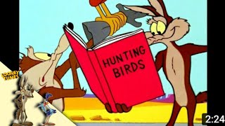 Looney Tunes | Roadrunner Vs Coyote Compilation | WB Kids |animation ||