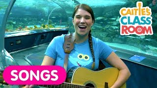 Sing The Baby Shark Song With Real Sharks At The Aquarium!