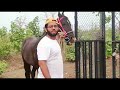 🐴 घोड़ा पालन का शौक फिर से जिन्दा कर दे अश्व प्रेमी युसूफ खान का विडियो horse information video