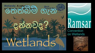 Wetlands: වෘක්ෂ/wruksha