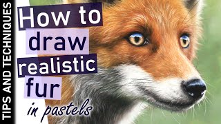 How to draw fur in pastels | Drawing a Red Fox in pastels | Tips