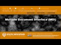 C#/Xamarin Cohort 15Y - Multiple Document Interface (MDI)