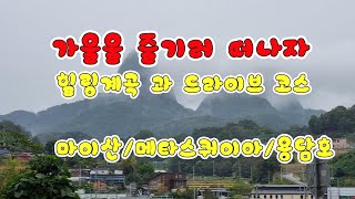 [ 전북 진안 ] 물들어 가는 가을 에는 마이산/ 메타스쿼이아/용담호/섬바위(천년송) 환상의 드라이브 떠나자