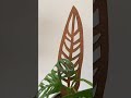 peptrella trellis and anthrulla trellis🪴 extendable wooden plant support🌿 2022 indoor garden🌱