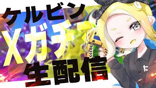 年内最後のガチエリア配信【スプラトゥーン3】　#スプラ配信者  #shorts