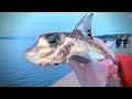 Eating a GHOST SHARK?! Prehistoric Catch & Cook!