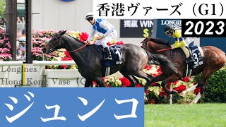 「道中後方追走から、撫で斬りましたジュンコ」【香港ヴァーズ2023】/ Junko【Longines Hong Kong Vase 2023】