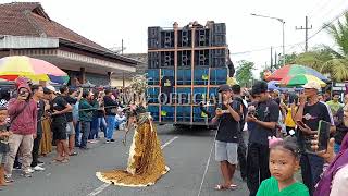 Penampilan Brewog Audio karnaval pikatan wonodadi blitar