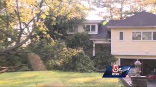 Storm wreaks havoc in MetroWest:  Trees down, roads flooded