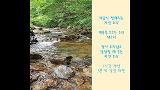 마음이 편해지는 소리 봄 계곡소리