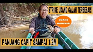 FISHING THE BIGGEST PRAWN EVER || AMAZING SENSATION !!