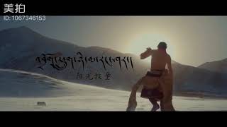 Tibetan song by Tsering Nyima New song 2019/འབྲོག་ཕྲུག་ཉི་མ་གང་ཤར།