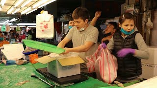 海鮮叫賣福箱型男兄弟 – 台灣竹圍漁港(上) / seafood auction magic box brothers – taiwan fishing port (part 1)