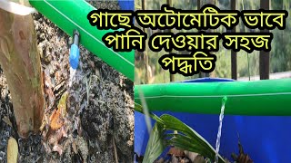 গাছে অটো পদ্ধতিতে টবে বা ড্রামে পানি দেওয়ার সবচেয়ে সহজ পদ্ধতি আসুন এখুনি শিখে নেই।