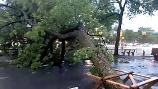 Heavy rainfall, thunderstorms bring flooded roadways, downed trees in New York City