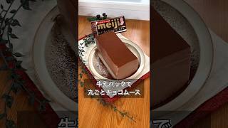 牛乳パックで丸ごとチョコムース