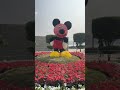 flower show ahmedabad 2024 ahmedabad river front flower show 2024 festival flowershow2024