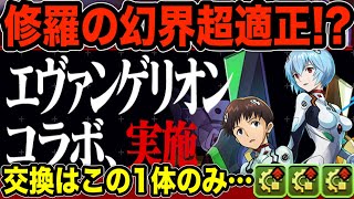 【パズドラ】何年ぶりかのエヴァコラボ復刻！唯一交換可能なシンジ＆レイは本当に修羅の幻界に刺さるのか・・・？【性能紹介】