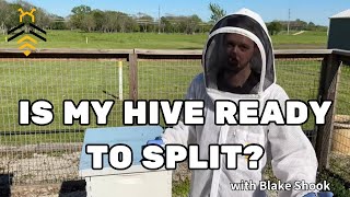 BEEKEEPING: Is My Hive Ready to Split? with Blake Shook