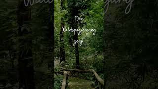 🌲🤫 Lektionen der Stille: Lehren aus dem Waldspaziergang #natur #meditation #wald