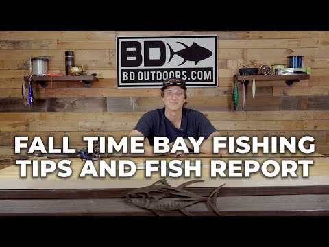 SoCal Bays Fall Fishing Tips and Fish Report