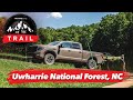 Uwharrie National Forest | On The Trail