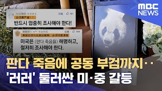 판다 죽음에 공동 부검까지‥'러러' 둘러싼 미·중 갈등 (2023.02.26/뉴스데스크/MBC)