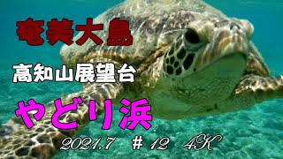 ヤドリ浜、海水の透明度がとても良く、かなり深い底も見えました。このビーチには海ガメさんが数匹います。