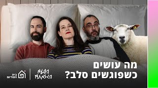 מה עושים כשפוגשים סלב? | הפעם הגזמתם, פרק 42